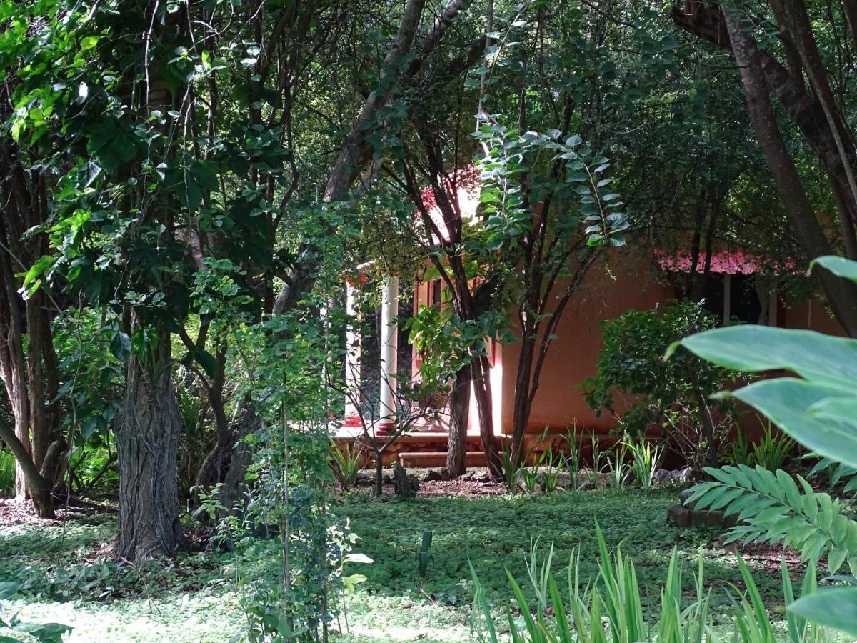 The Flycatcher Inn Retreat Hotel Санта-Элена Экстерьер фото