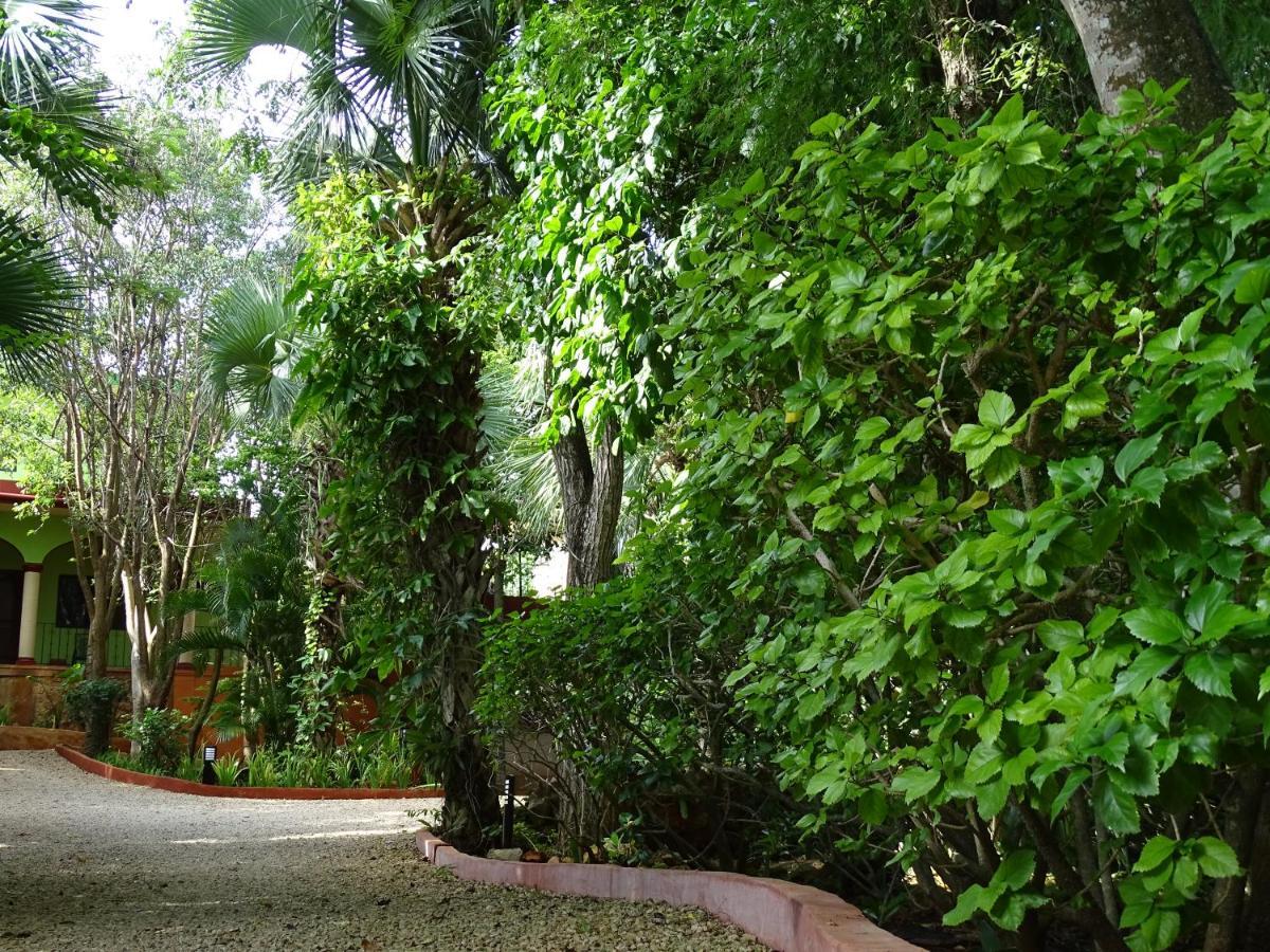 The Flycatcher Inn Retreat Hotel Санта-Элена Экстерьер фото